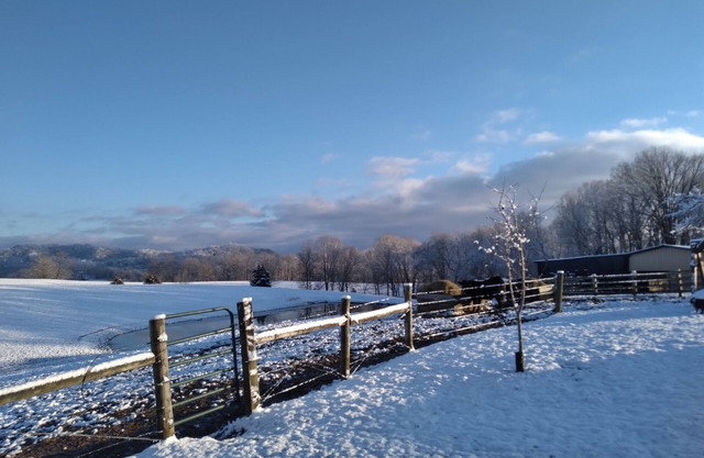 Scenic View - this farm has it all!
