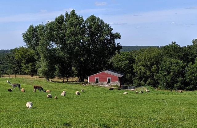 Schmidt Farm: an interactive farm experience bordering Forestville State Park
