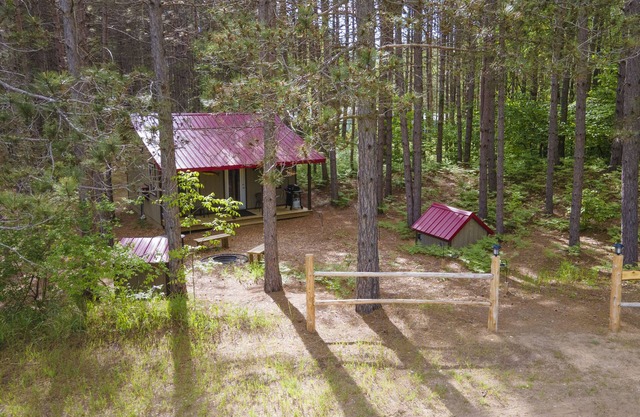 Secluded cabin in a Pine forest, just minutes away from Crystal Mountain