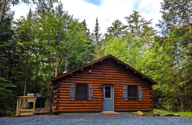 Secluded Cozy Cabin in Mountain Lake Community!