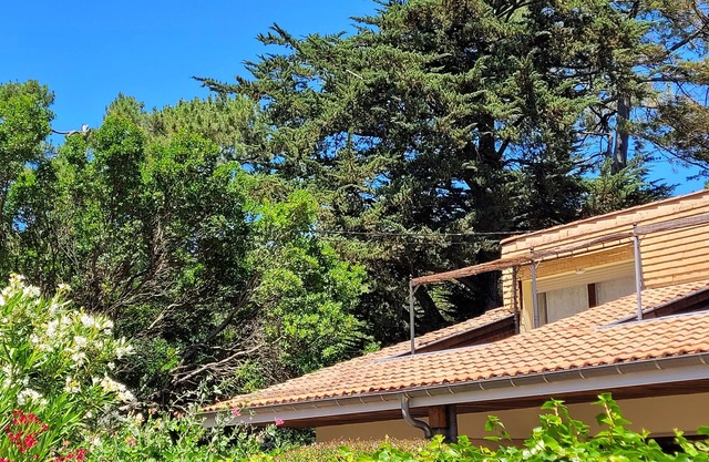 Semi-detached house on the Courant