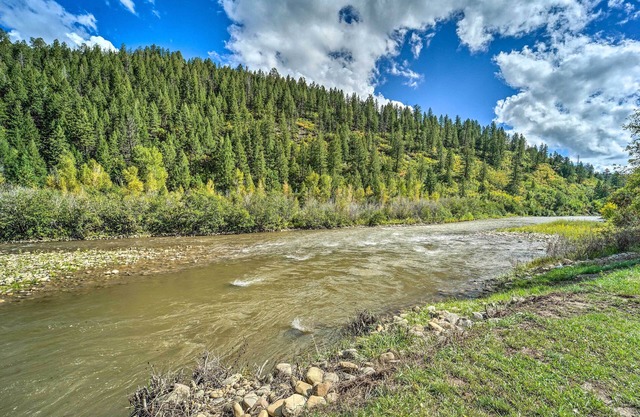Serene Dolores Cabin w/Patio & River Access!