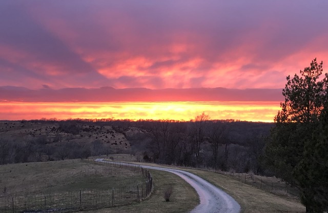 Serenity Heights - Peaceful Country Acres with beautiful view in every direction