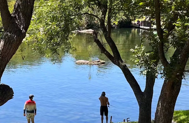 Shaded riverfront getaway. Dog friendly
