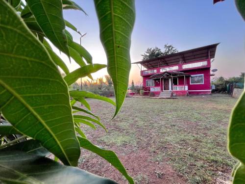 Shravani Farms
