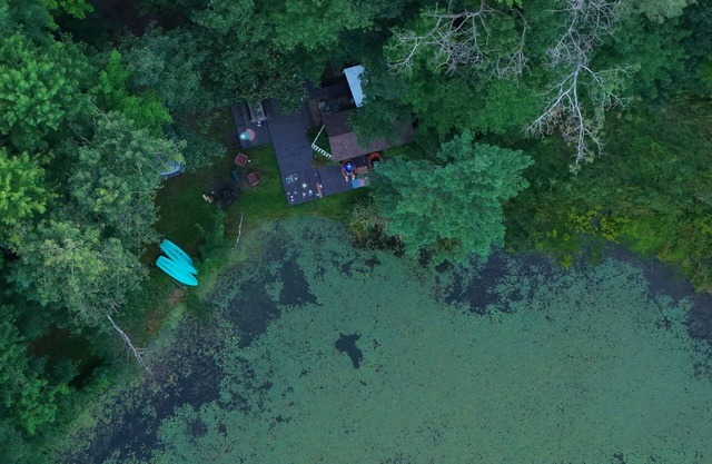 Singing Frog tiny home/spa/breakfast