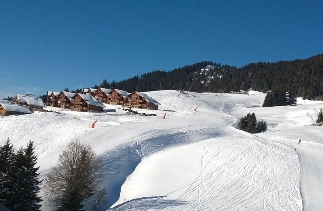 Ski-to-door apartment rental 5 people with access to Domaine des Saisies