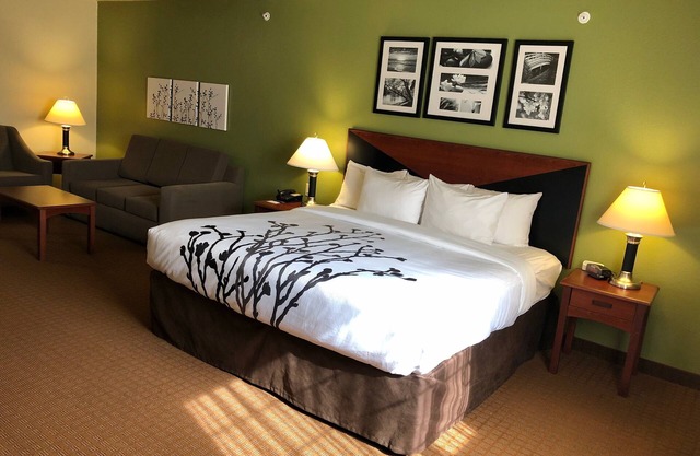 Sleep Inn & Suites Shamrock