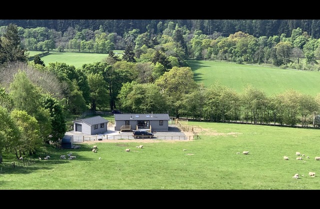 Smiddyhill Lodge, Innerleithen self catering holiday let