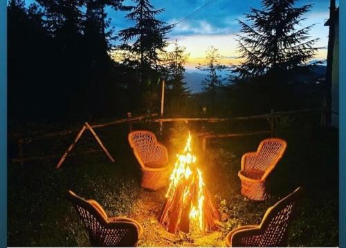 Sneha Cottage, Tirthan Valley - #riverside #premium room #cafe #comfortable stay #garden with fireplace #property of the year