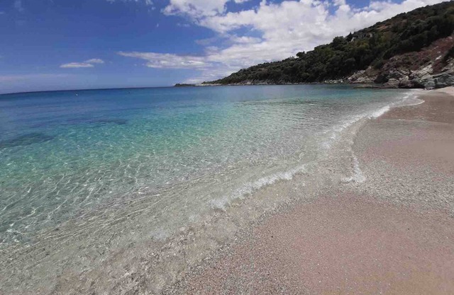 Sonia Rustic Mansion - 5bd 30 Sec Walk To Beach!
