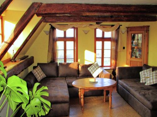 Spacious Apartment with Garden, cleaning included