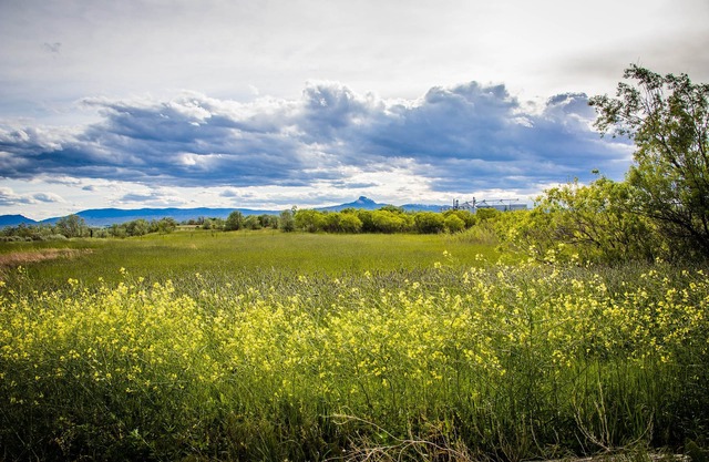 Spacious Family Retreat with Stunning River Views – Just 15 Minutes from Cody!