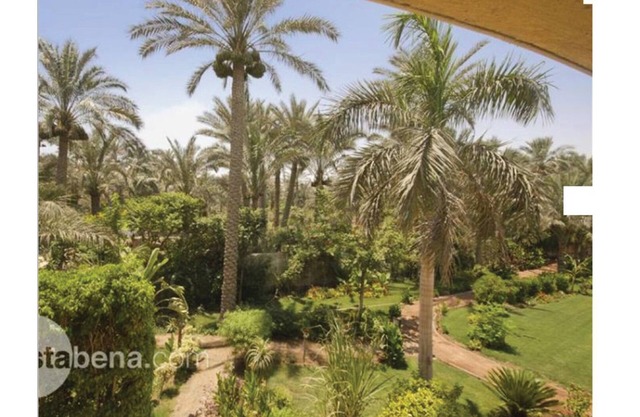 Spacious Luxurious Villa 1,200 meters away from Sakkara (Djoser) Step Pyramid