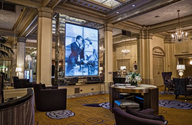 Spacious Premium Queen with Signature Amenities