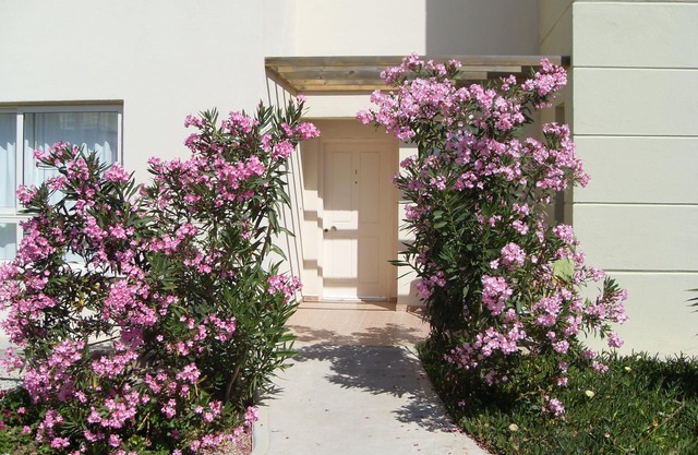 Spacious sea view terraced apartment, family friendly.