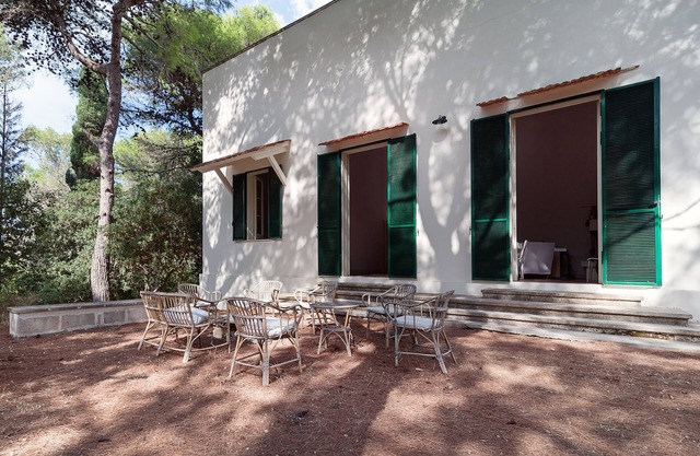 Spacious villa, surrounded by a pine forest, 300 meters from the sea and the town