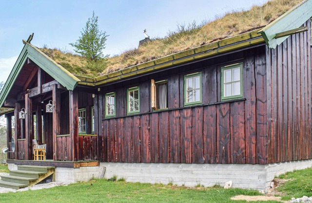 Spend a nice vacation in Vinje in Telemark.