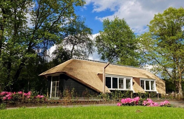 Sprielderbosch 46 Luxury holiday home on a holiday park in the Veluwe