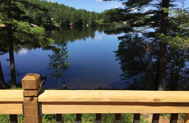 Spring, Summer, Fall and Winter = Peaceful and Easy on Belleau Lake.