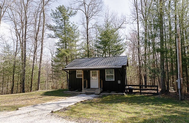 "Stars Hollow" Cozy Mini Cabin Stay - RRG