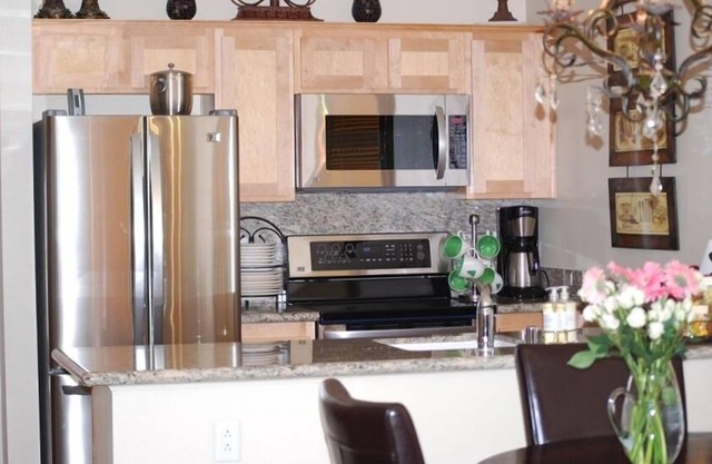 STAY SLOPESIDE 5 Star Luxury! True Winter Ski In & Ski Outn