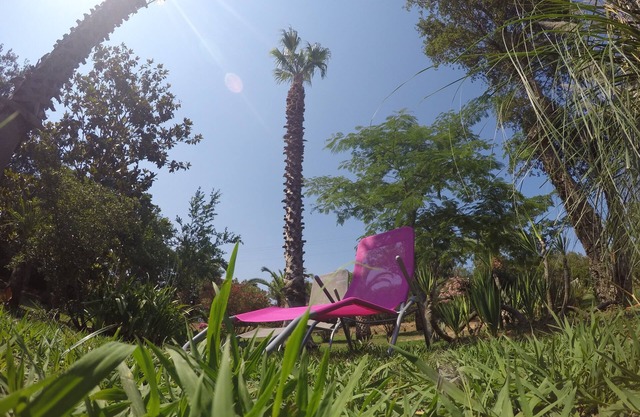 Studio 1km from the sea and river