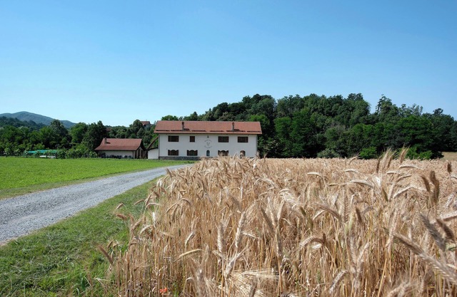 Studio Apartment 'Ant Ra Prina Verde' with Mountain View and Shared Garden