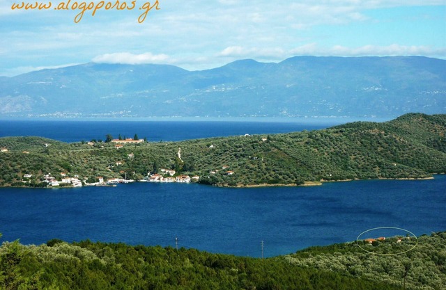 Studios - Appartments «Alogoporos»