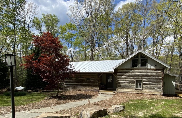 Stumphouse Cabin near Stumphouse Mtn Bike Park~Pet's Welcome! No cleaning fees!