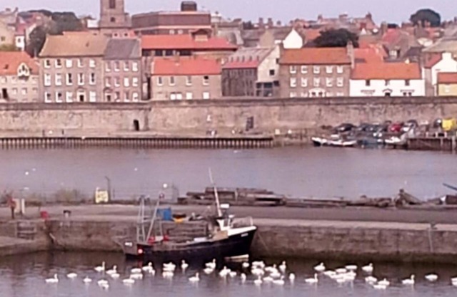 Stunning harbour side Gold graded apartment for two with secure parking