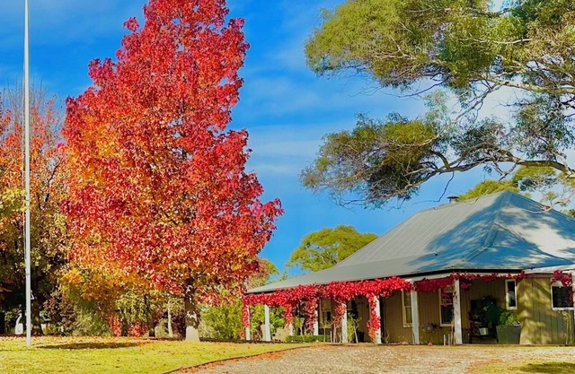 Stunning Homestead & Cottage, just 10 minutes from historic Braidwood.
