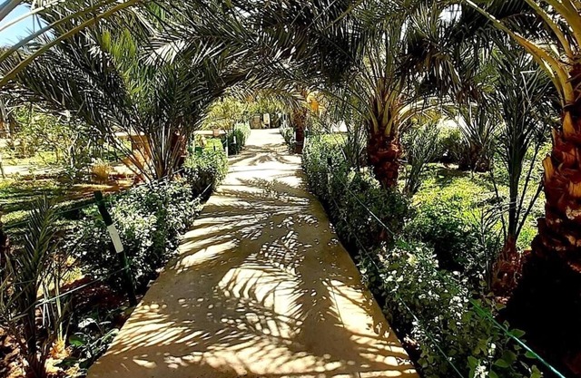 Sun Palmeraie