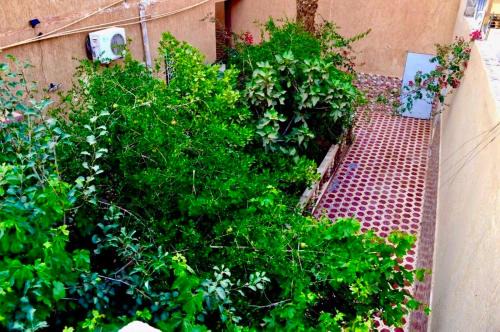 Sunny City Villa with a Garden