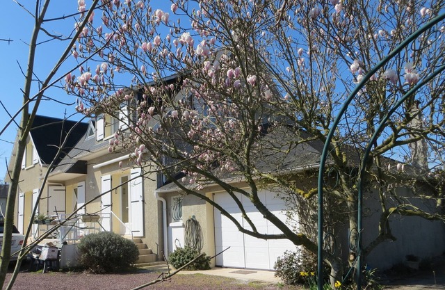 Super comfortable villa with heated pool near Mont Saint Michel.