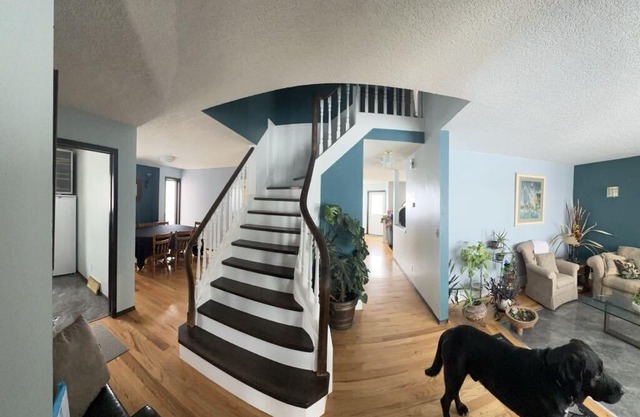 Super Comfy & Large Family Home w/Guest Kitchen, 2Bathrooms & up to 3Bedrooms.