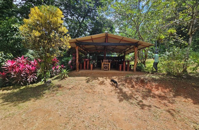 Superb 2-bedroom cabin in the Osa Penisula with stunning mountain and sea views