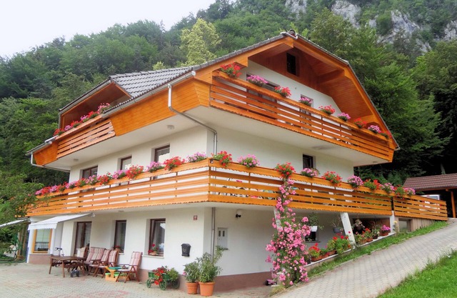 Superior Apartment With 3 Balconies In the Lake Bled Area Of Slovenia