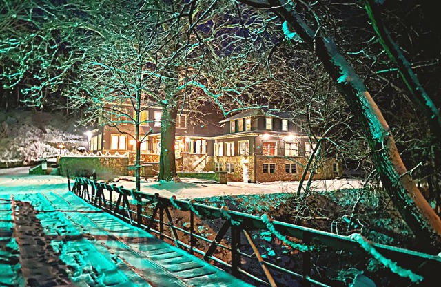 Sycamore Springs