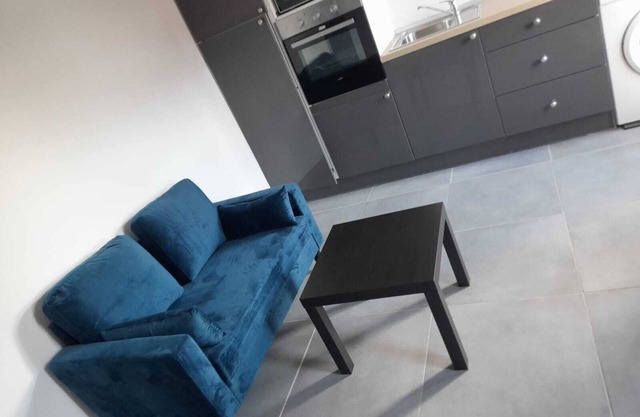 T2 Renovated Lille center