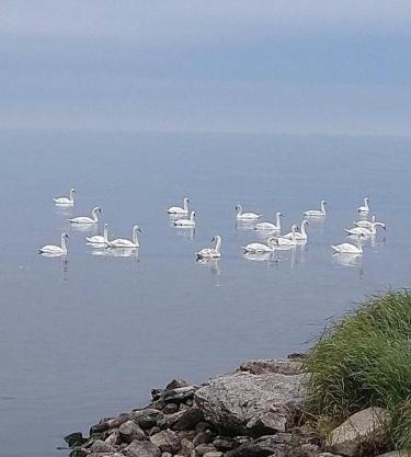 Takvåning-Borgholm
