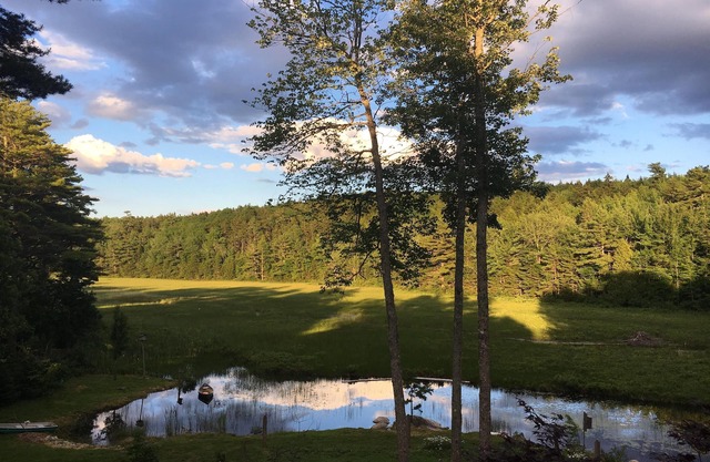 Tall Pines Retreat, Somesville|Mt. Desert. 15 min to Bar Harbor, 5 to Acadia