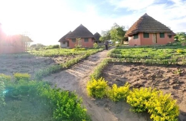 Tangi Safaris Lodge