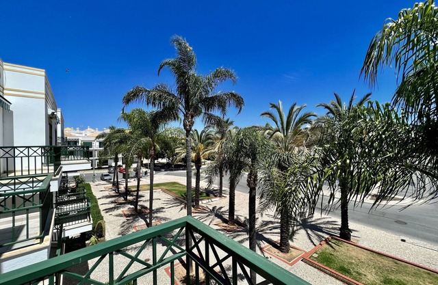 Tavira Palm Tree by Homing