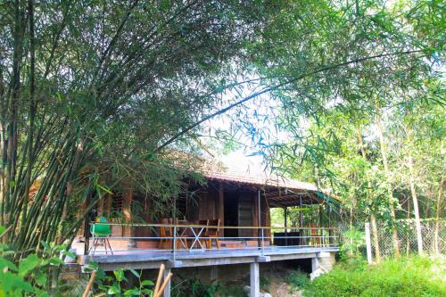 Thỏ House