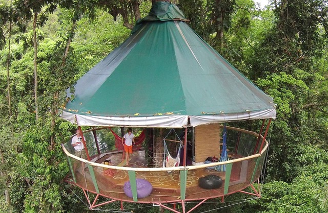 The Amazing Treehouse and Nature Observatorio in Manzanillo, Limon, Costa Rica