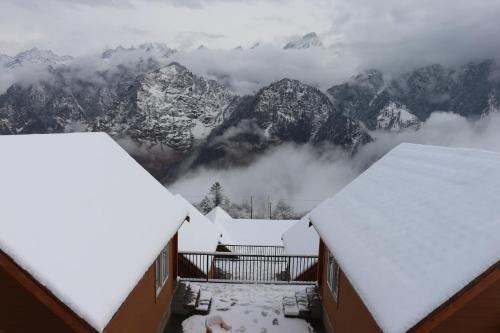 The Auli Meadows