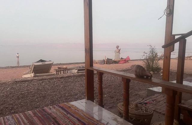 The Bedouin life with Eid Ali Nuweiba, Egypt Camping first line sea view wifi AC