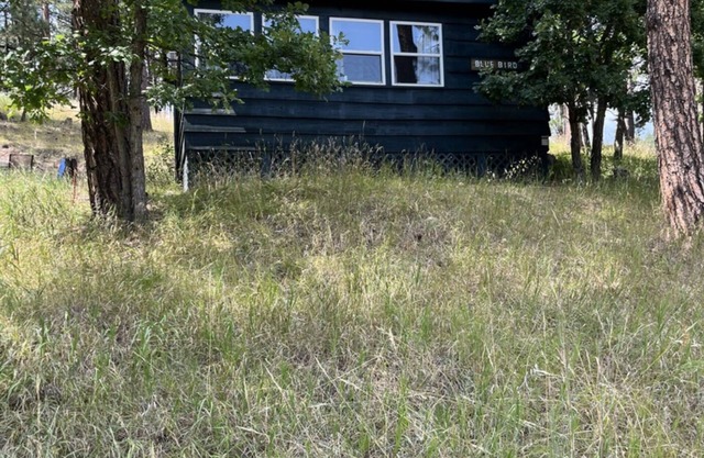 The Blue Bird Cabin