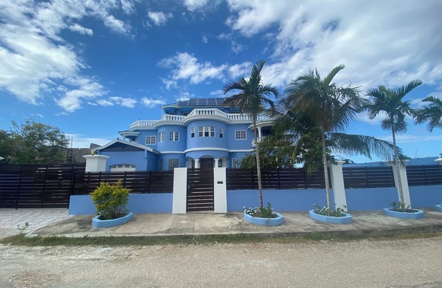 The Blue Flamingo